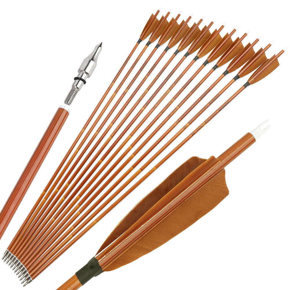 12pcs Archery 30" Carbon Arrows 4" Feathers SP500 Compound Recurve Bow Target Hunting